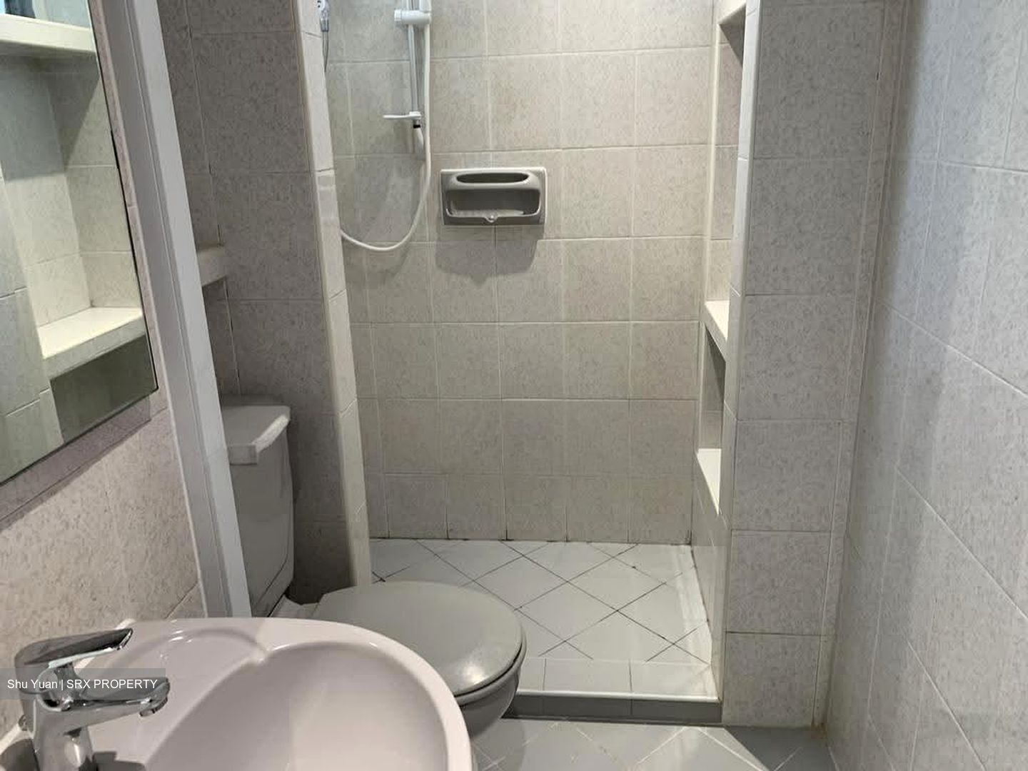 Dunearn Road (D11), Condominium #628350941